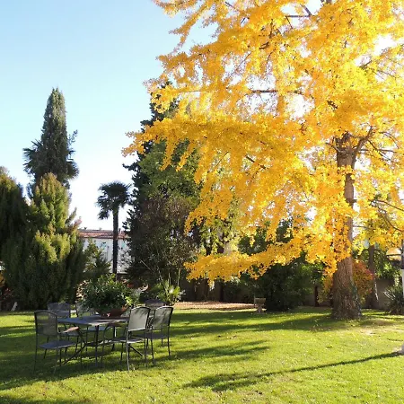 Ginkgo * Ronchis
