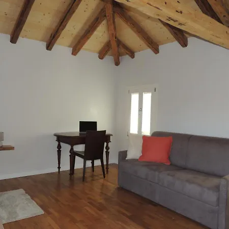 Ginkgo Ronchis (Latisana)