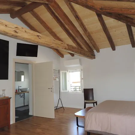 Ginkgo Ronchis (Latisana)