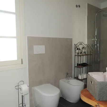 Ginkgo Ronchis (Latisana)